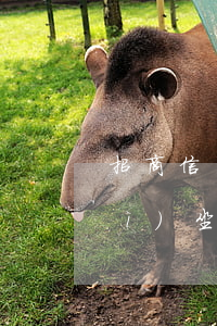 招商信用卡逾期1萬(wàn)8會(huì)坐牢嗎？多久會(huì)產(chǎn)生影響？